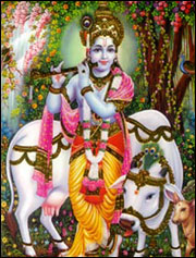 Krishna